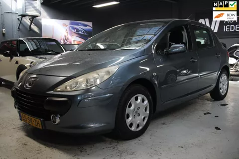 Peugeot 307 1.6-16V XS / zeer netjes / nieuwe apk / NAP
